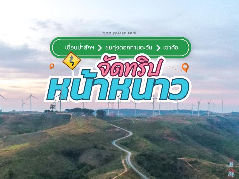 หนาวนี้ เขื่อนป่าสักฯ-ชมทุ่งดอกทานตะวัน-เขาค้อ